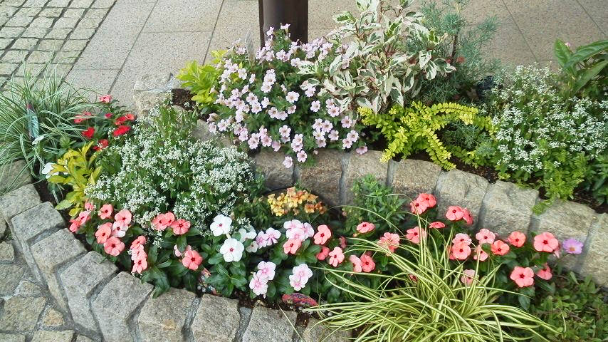 ぜいたく花壇 花 植え 方 最高の花の画像