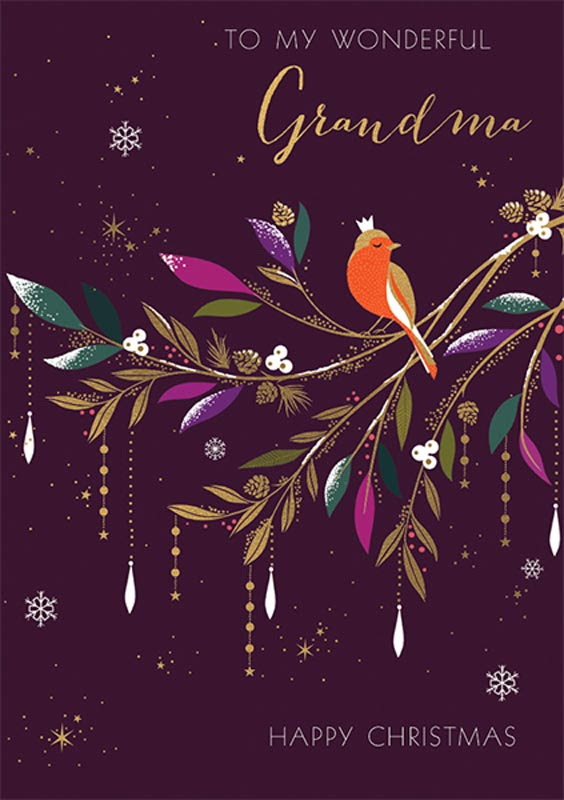 Maybe you would like to learn more about one of these? The Art File Grandma Bird Christmas Card Sarx030