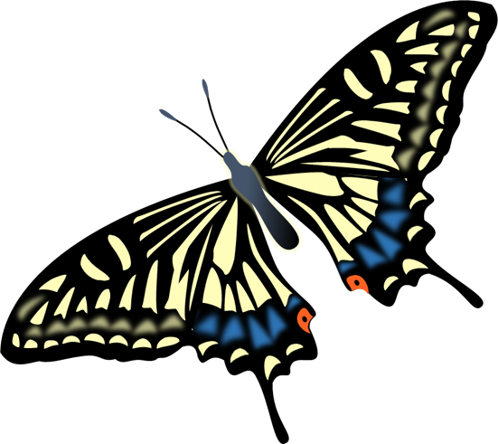 美しい花の画像 最新モンシロチョウ イラスト 無料