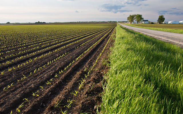 Soil Sod