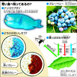画像をダウンロード 青い 食べ物 画像
