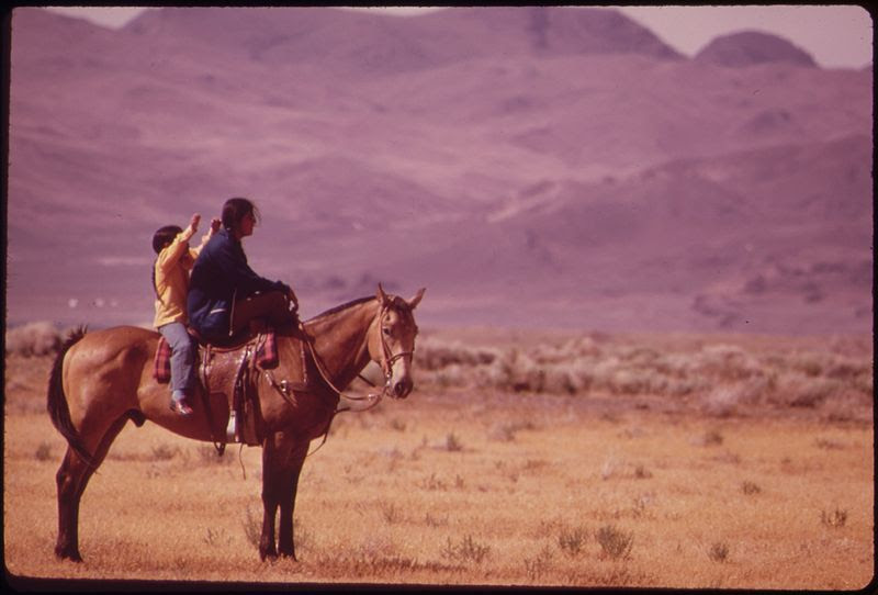 File:SPRING ROUNDUP OF PAIUTE-OWNED CATTLE BEGINS AT SUTCLIFFE PYRAMID LAKE INDIAN RESERVATION. CORALLING AND BRANDING IS... - NARA - 553116.jpg