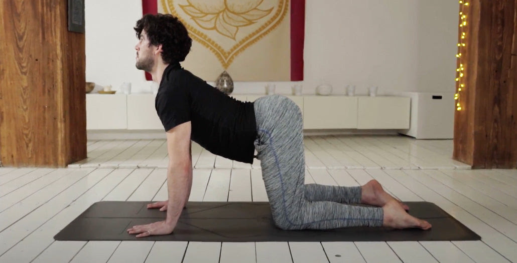 And yet we eat the cow and pet the cat 🤷. How To Do Cat Cow Stretches Chakravakasana