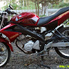 Vixion Modif Ninja / Yamaha Vixion bermesin Kawasaki Ninja 250. Ediann cadazzz ... : Jual full fairing vixion dan aksesoris motor.