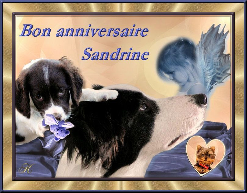 Bon Anniversaire Sandrine Fredda