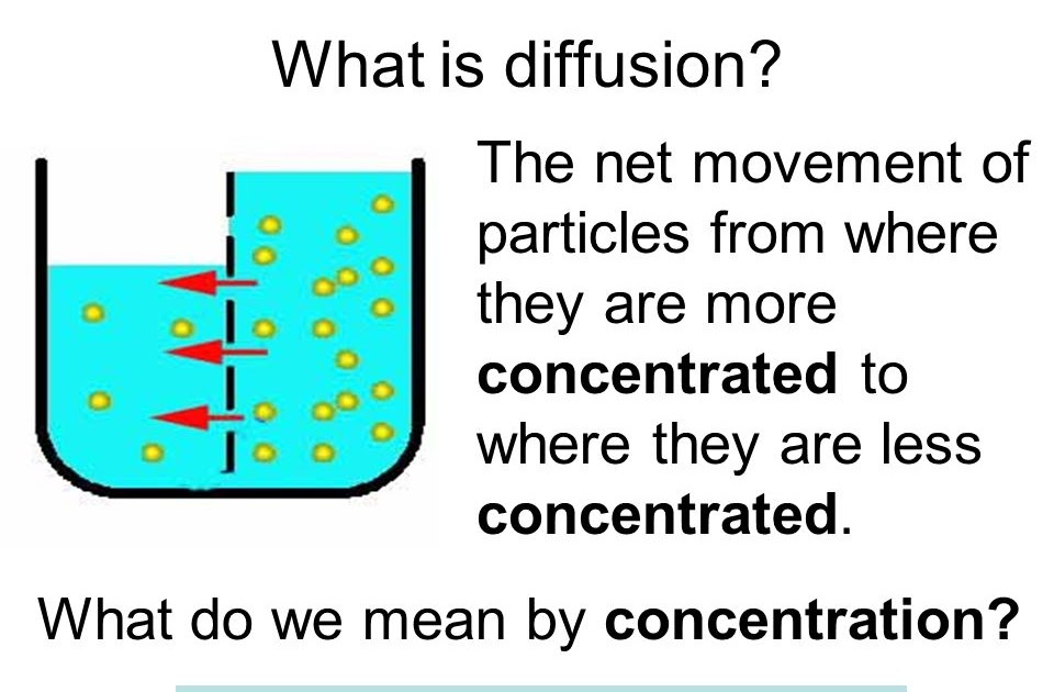 The Process Of Diffusion slidedocnow