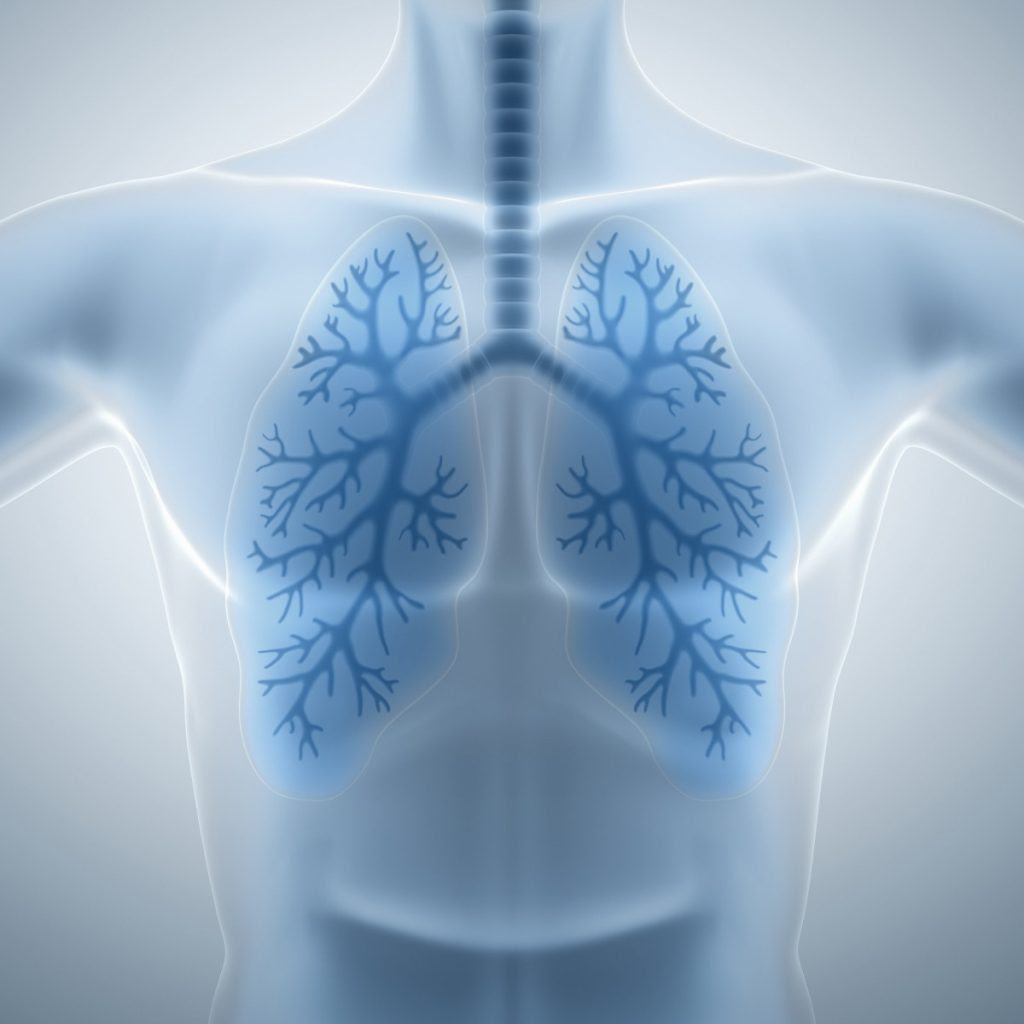 Biomarker cystic fibrosis