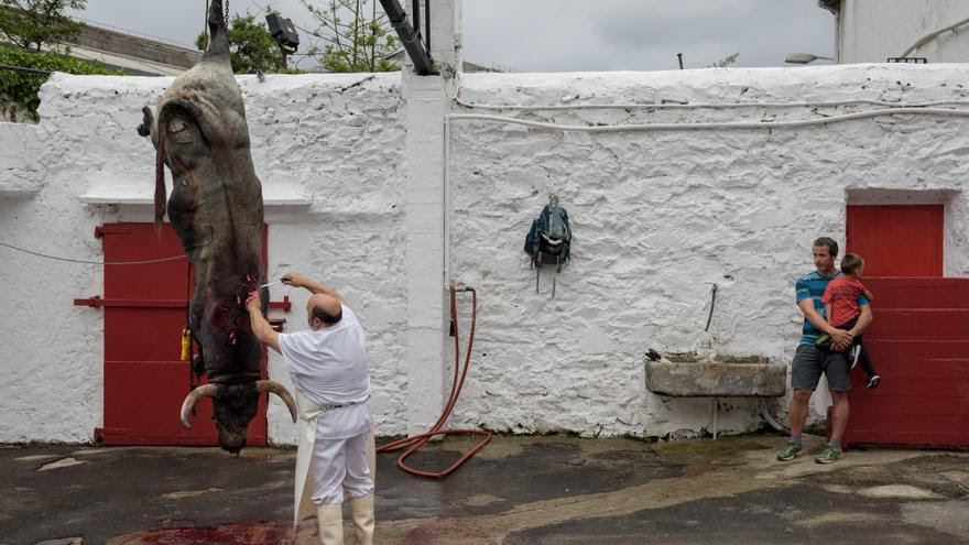 Un adulto con un niño en brazos observa cómo el toro es desangrado tras la lidia. Foto: Askekintza/Tras Los Muros