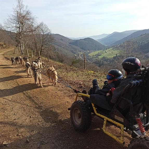 Profitez de randonnées en traîneau avec saisie illégale de chiens de traineaux chez nordic aventures. Manouk Evasion Balade En Chiens De Traineau Comivi