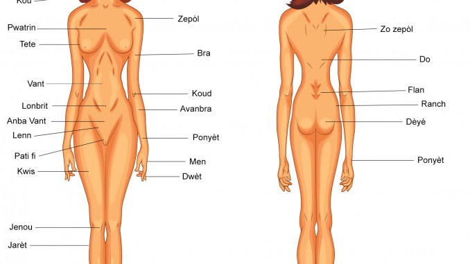 Pictures Of Women S Body Parts Human Body Parts In English Myenglishteacher Eu Unphotoshopped Real Women Sharing Their Beauty In All Its Different Changing The Way Women See Themselves