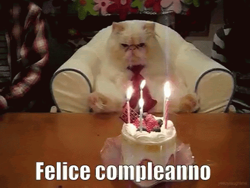 Auguri Compleanno Gif Whatsapp Shireen Hiraj