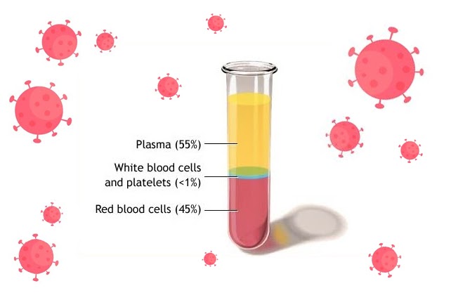 Plasma Darah : Berbagi Kesembuhan Lewat Donor Plasma Darah Merdeka Com