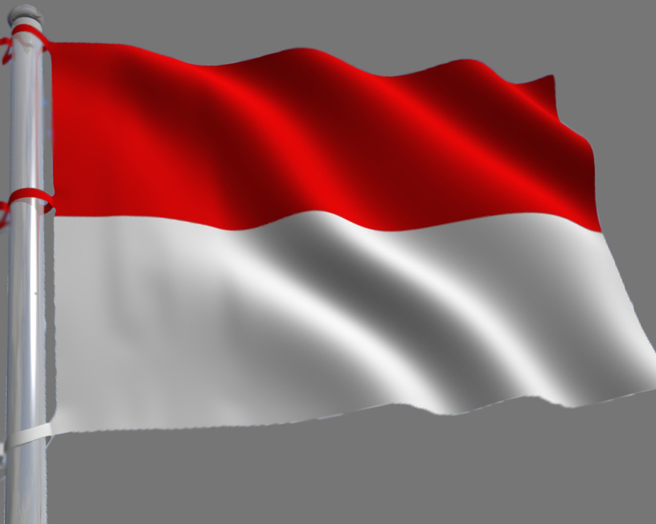 20 Ide Background Bendera Untuk Foto Presiden Cosy Gallery