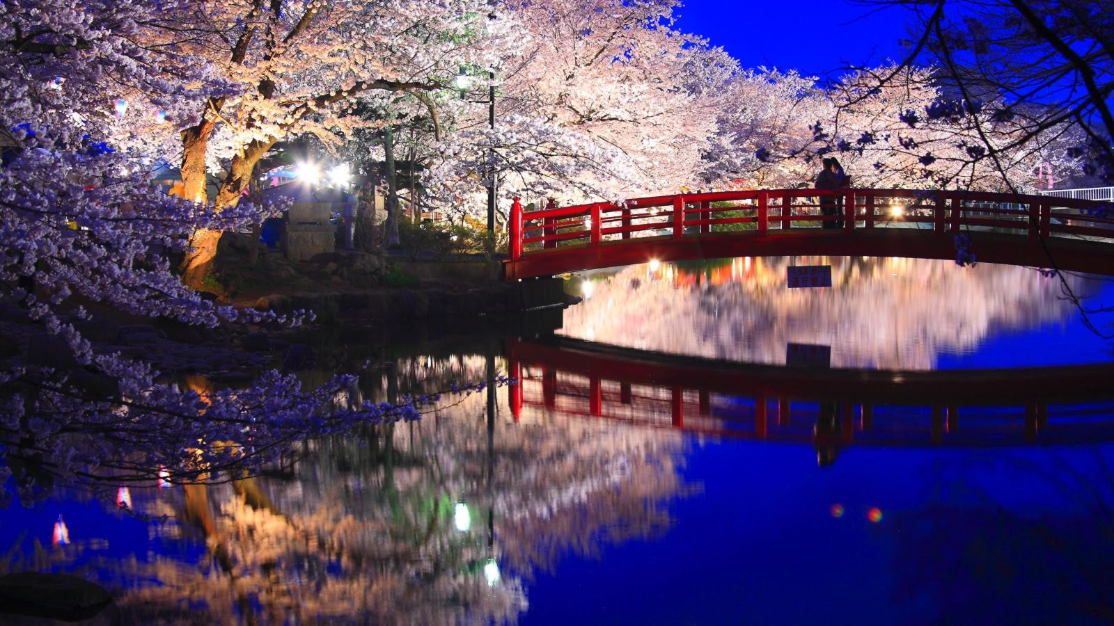 Pc 壁紙 桜 Jpbestwallpaper