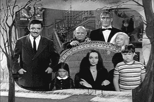 snap the addams family addams family snaps GIF