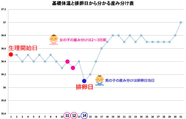 トップイメージカタログ トップ 排卵 日 当日 女の子