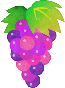 年の最高 ぶどう イラスト フリー素材