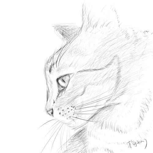 トップ100猫 横顔 イラスト かわいい アニメ画像について
