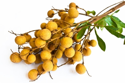 On small cucumbers yellow flowers. What Is The Difference Between The Lychee Rambutan And Longan Huffpost Life