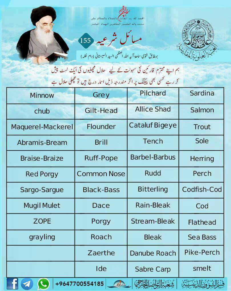 They are water creatures that are not fish. Halal Haram Food Drink Fish Islamic Laws