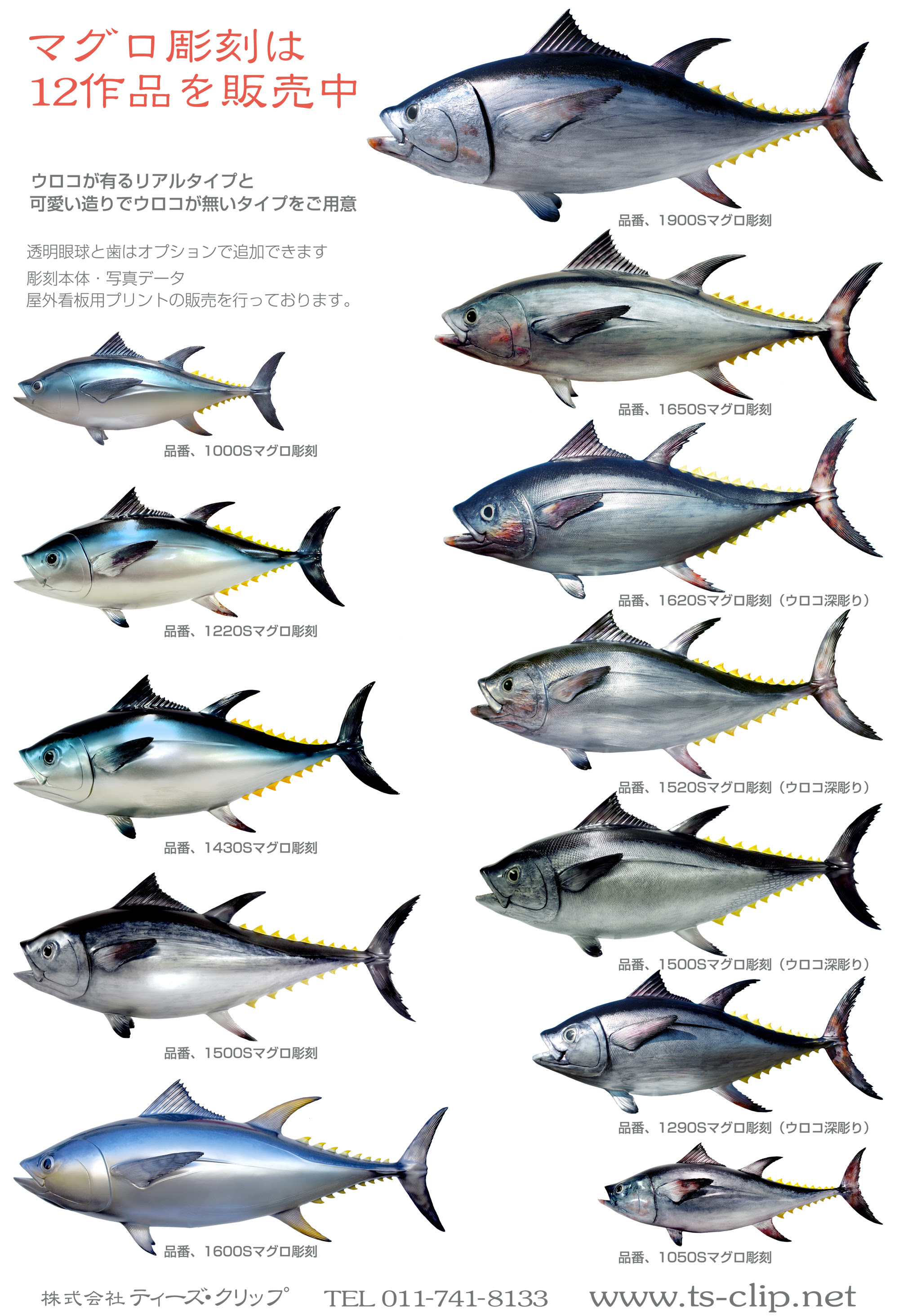 美しい花の画像 無料ダウンロード手書き まぐろ イラスト かわいい