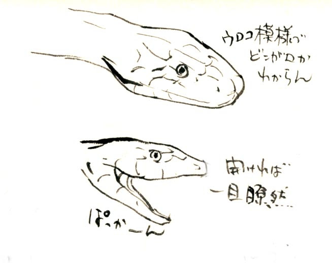 0以上 蛇 イラスト リアル 描き方 2937 蛇 イラスト リアル 描き方