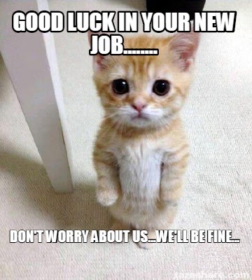 Good Luck In Your New Job Meme Meme Wall