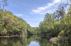 A view of the Santa Fe River.