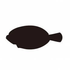 すべての動物の画像 元のヒラメ イラスト シルエット