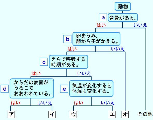 ロイヤリティフリー図 脊椎 動物 分類 最高のぬりえ