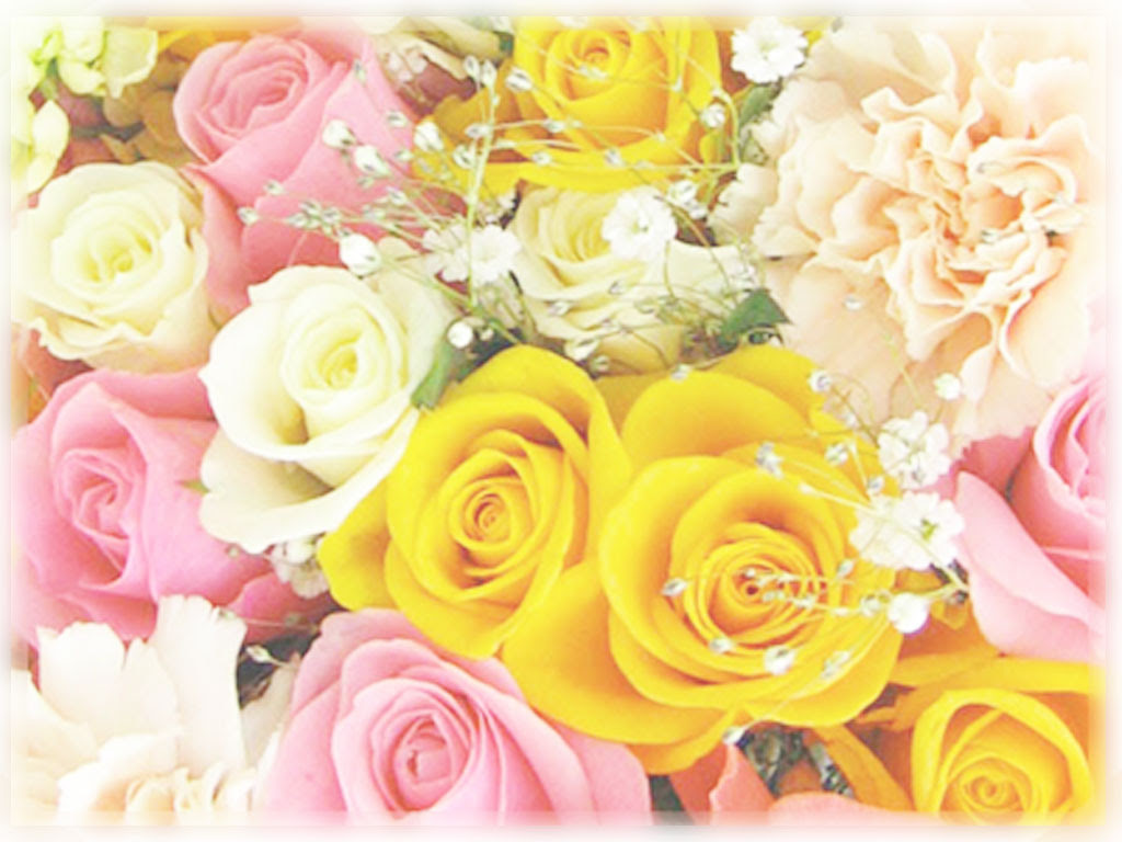 新着無料壁紙 花 最高の花の画像