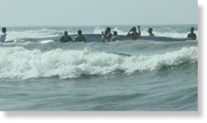 422070_whale_dapoli_mohan_upad.jpg