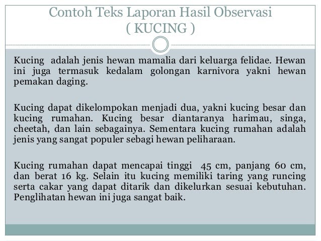 Contoh Hasil Observasi Hewan Mamalia - Obtenez Livre