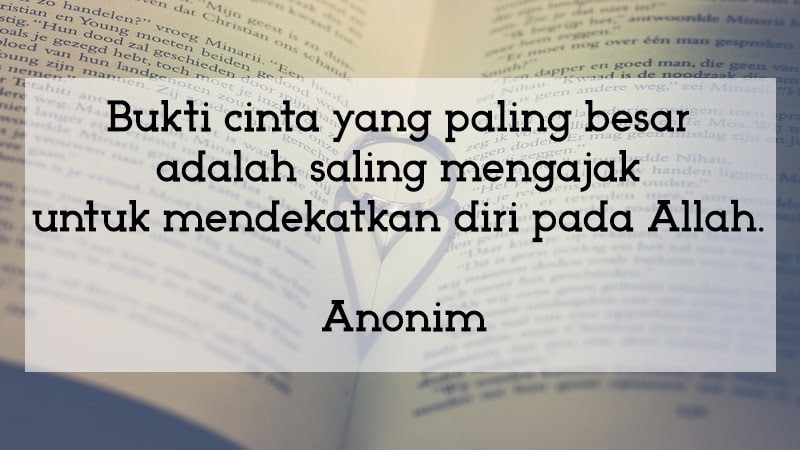 Quotes Bijak  Cinta Dalam  Diam  Kumpulan Kata  Bijak 