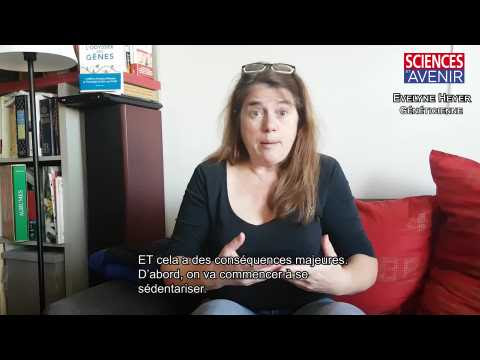 Evelyne Heyer : "Ce que dit l'ADN moderne sur les migrations et la sédentarisation"