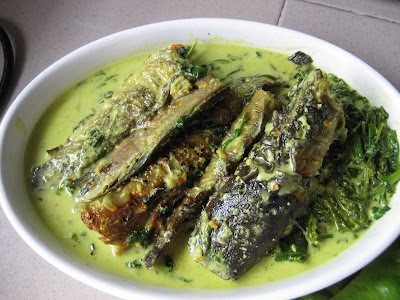 Resepi Ikan Keli Masak Lemak Cili Api Negeri Sembilan ~ Resep Masakan Khas