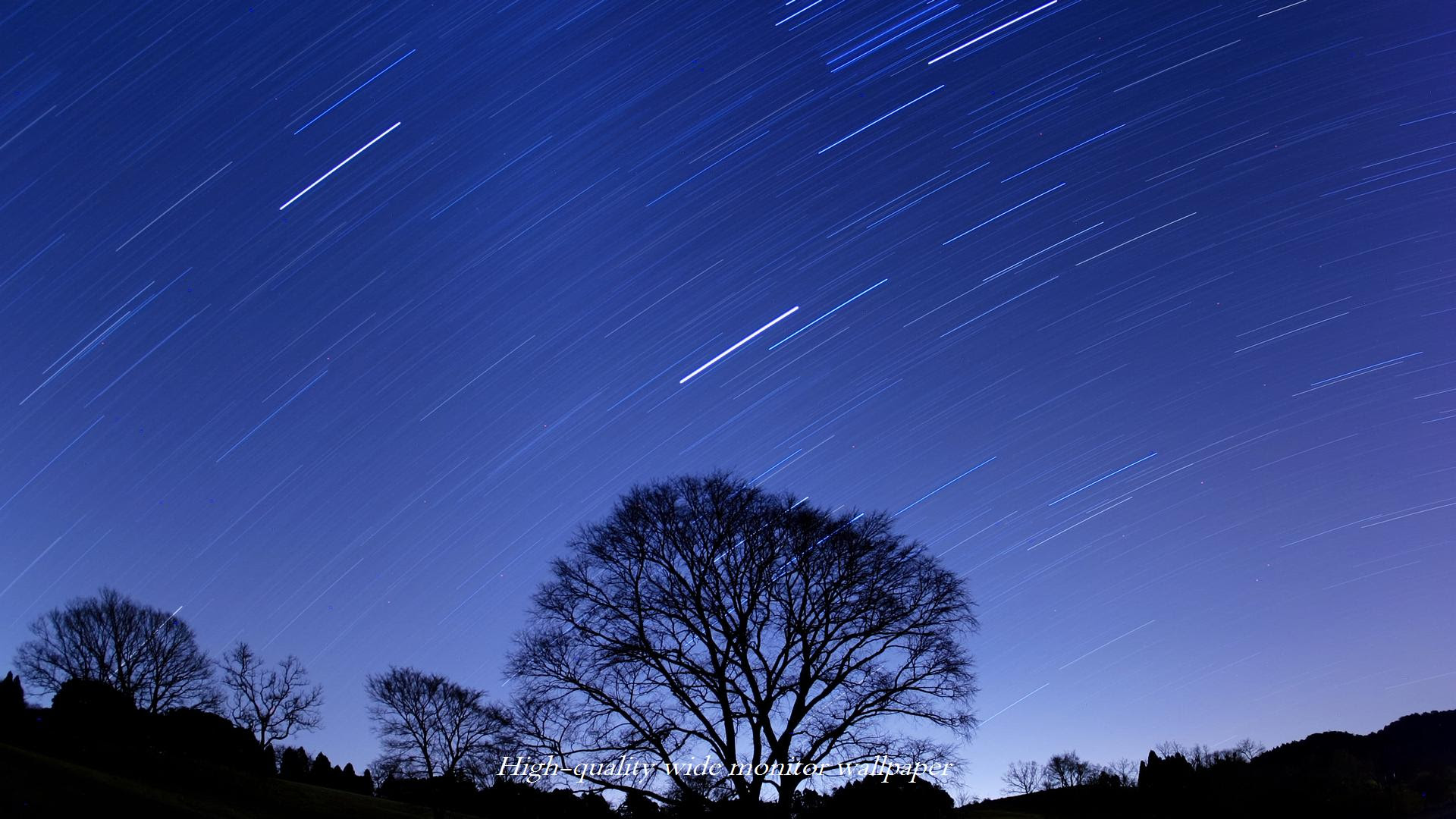 すべての花の画像 エレガント夜空壁紙 高画質