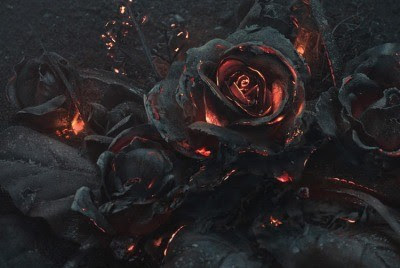 かっこいい 黒薔薇 壁紙 Udin