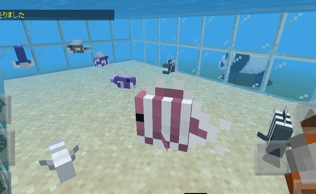 上 マイクラ 熱帯魚 マイクラ 熱帯魚 種類 Bejoiqhzwca