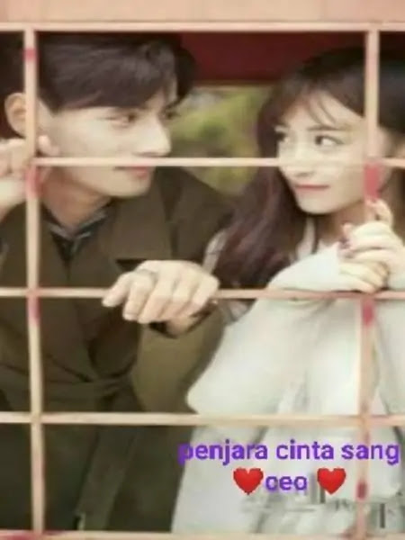 Novel ini menceritakan seorang anak perempun sulung yang terpaksa menikah dengan seorang ceo yang memiliki sifat angkuh dan dingi untuk menyelamatkan perusahaan keluarganya. Episodes Of Penjara Cinta Sang Ceo Updated 65 Episodes Manga Toon