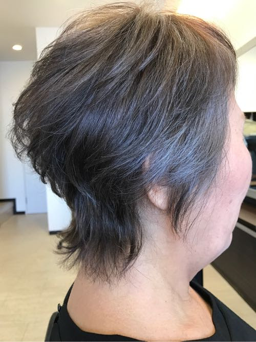 エレガント白髪 メッシュ メンズ 最高のヘアスタイルのアイデア