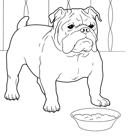 Supercoloring.com is a super fun for all ages: French Bulldog Coloring Page Free Printable Coloring Pages