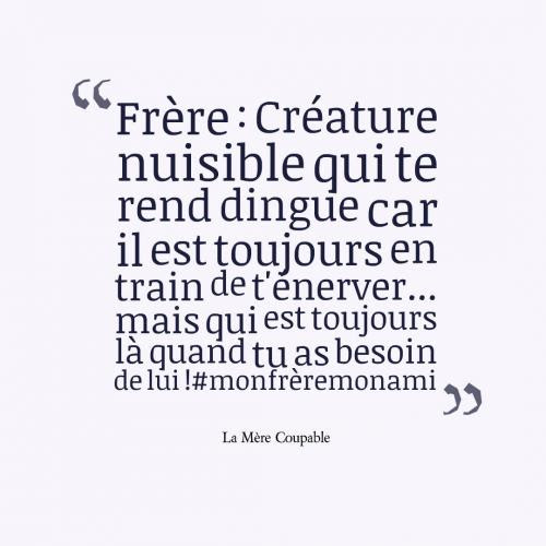Image De Citation Grand Frere Citation Amour Frere Et Soeur