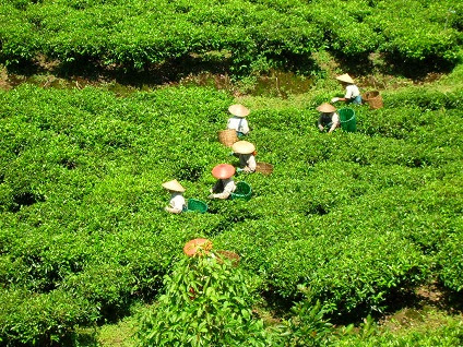 cara ternak kambing sukses - OrdoUM5fyko3mIoKRRruSWCuMn7Sgf5XhYdCo hX VF691ClMv w2OY mcqDamcoip9z2Cc2FtpHtOXGDyVWRPm0Op8CPrtl0 5rGp1m9K1UzdkBZ1uqfA=s0 d