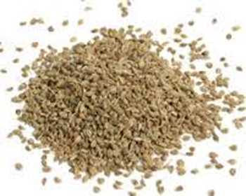 We did not find results for: Ajwain In Filipino Whatiscalled Com