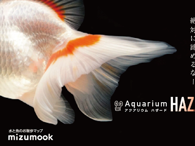 上 金魚 尾びれ 血走り 344774