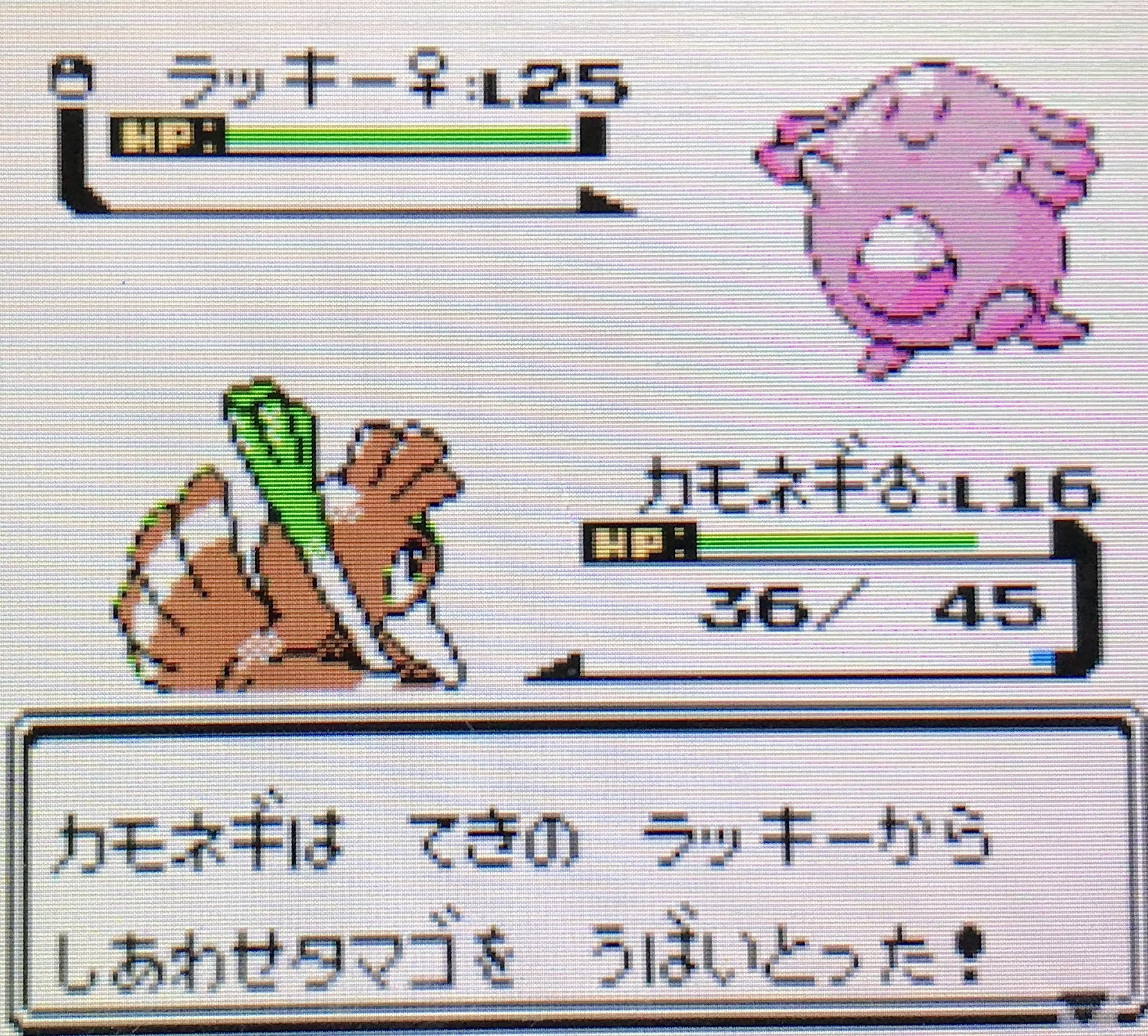50 素晴らしい金銀 出現ポケモン すべてのぬりえ