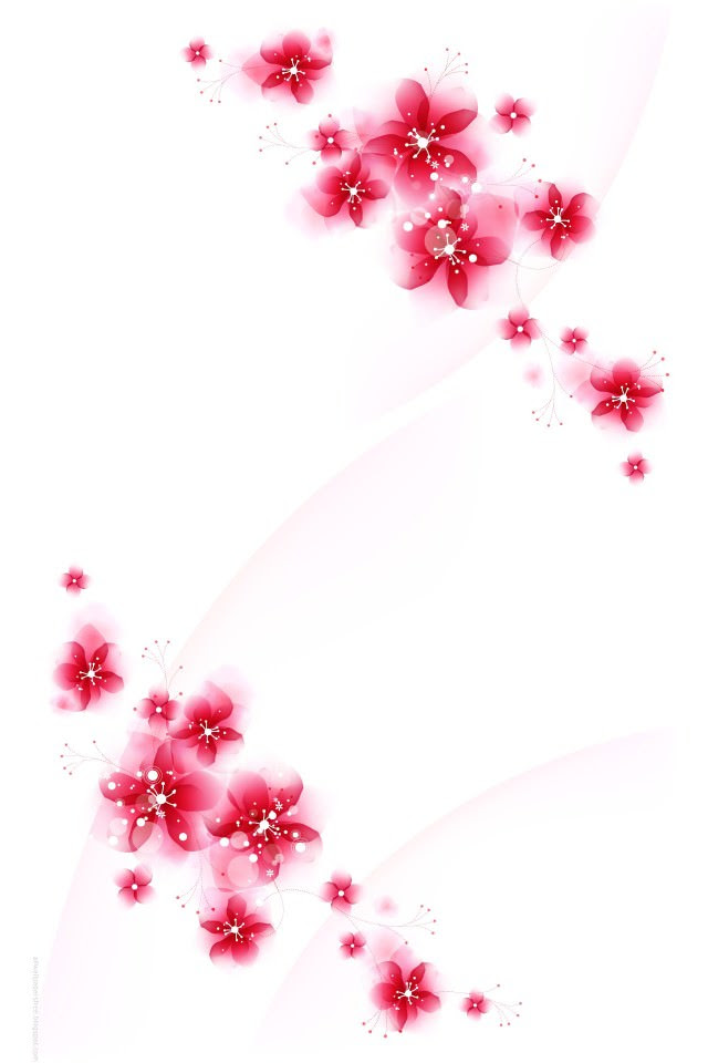 最高花 Iphone 壁紙 シンプル 最高の花の画像
