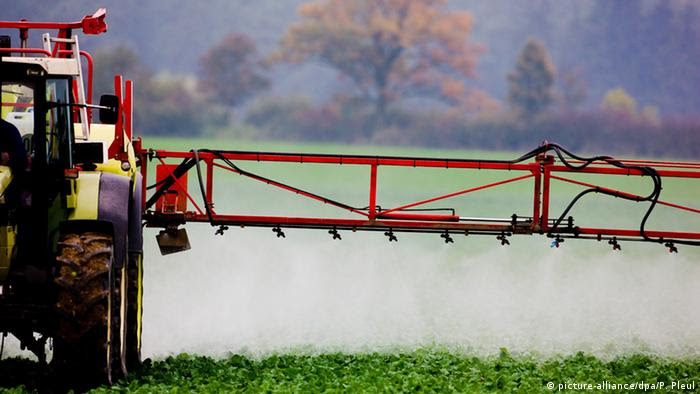 Produção agrícola aumentou mediante o uso intensivo de adubos químicos e pesticidas