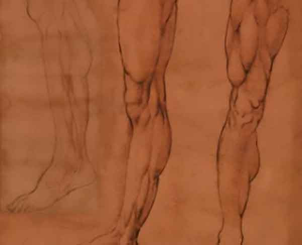 Leonardo da Vinci Anatomia
